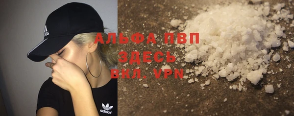 эйфоретик Инта
