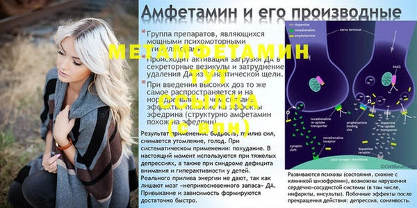 эйфоретик Инта