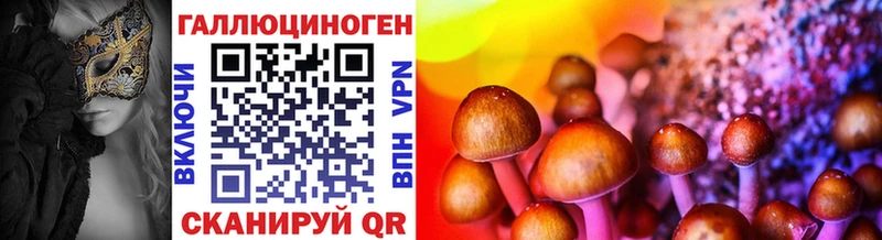 Купить  Очёр  Псилоцибиновые грибы Psilocybine cubensis 
